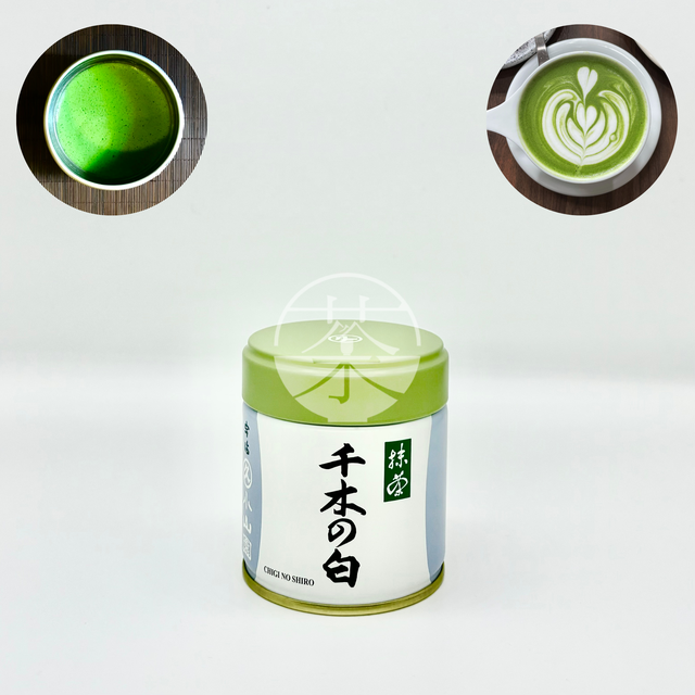 SenchaMatcha: Kyoto Matcha, HK Ceylon Tea SenchaMatcha: Kyoto Matcha, HK Ceylon Tea