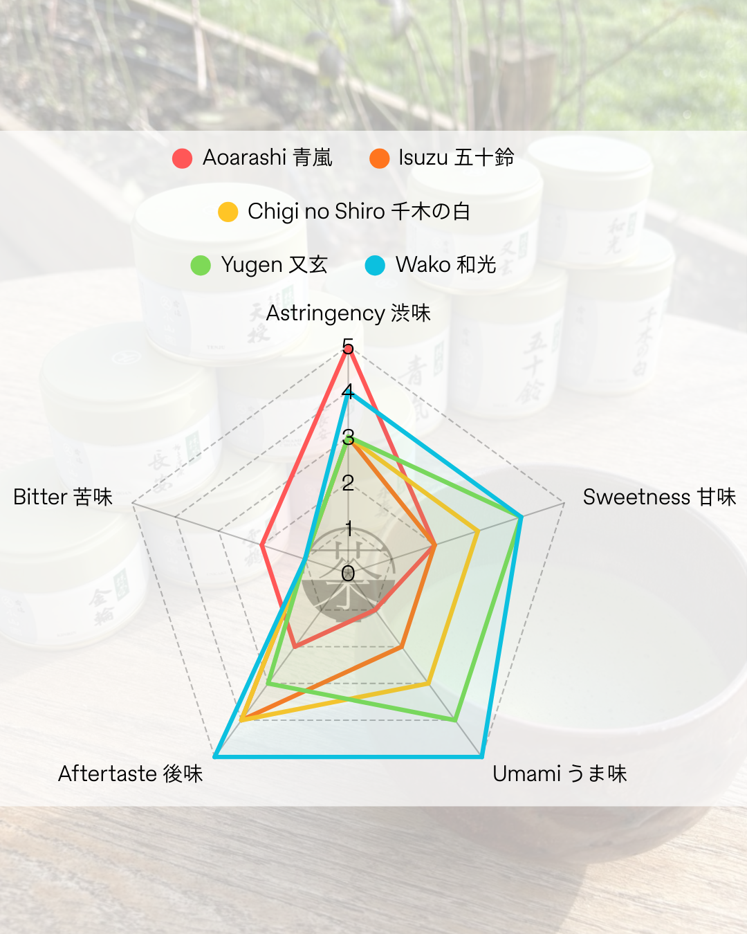 Lvl 3 Chigi no Shiro Marukyu Koyamaen Refined Usucha Ceremonial