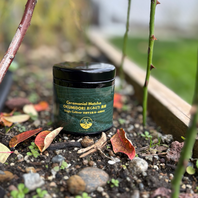 Usucha / Koicha Ceremonial Pure Matcha | SenchaMatcha: Kyoto